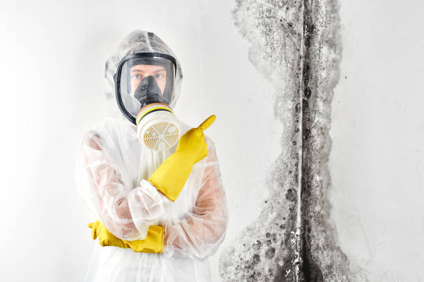 Best Industrial Mold Remediation  in Greenville, RI